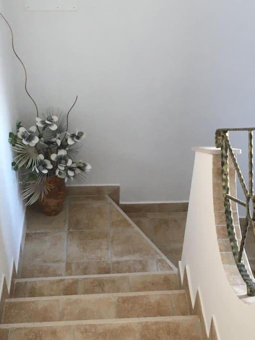 Casa Vacanza Gargano Carpino Εξωτερικό φωτογραφία