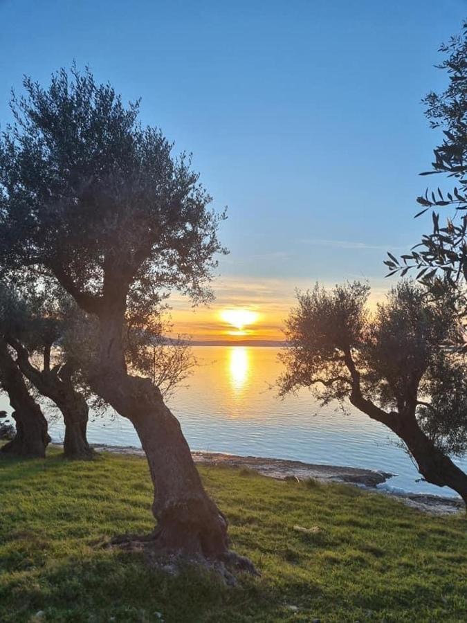 Casa Vacanza Gargano Carpino Εξωτερικό φωτογραφία